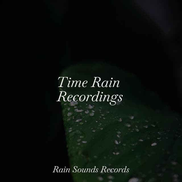 Time Rain Recordings - Study Music & Sounds