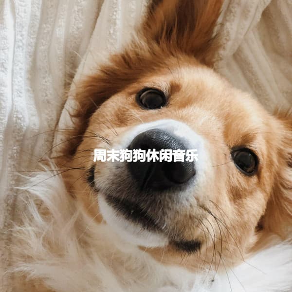 周末狗狗休闲音乐 - Coffee + Chill