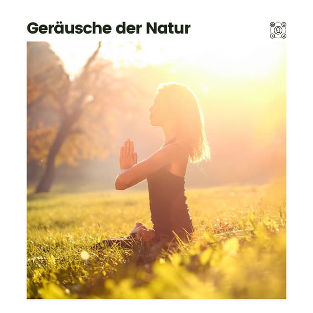 Geräusche der Natur - Sanfte Klänge