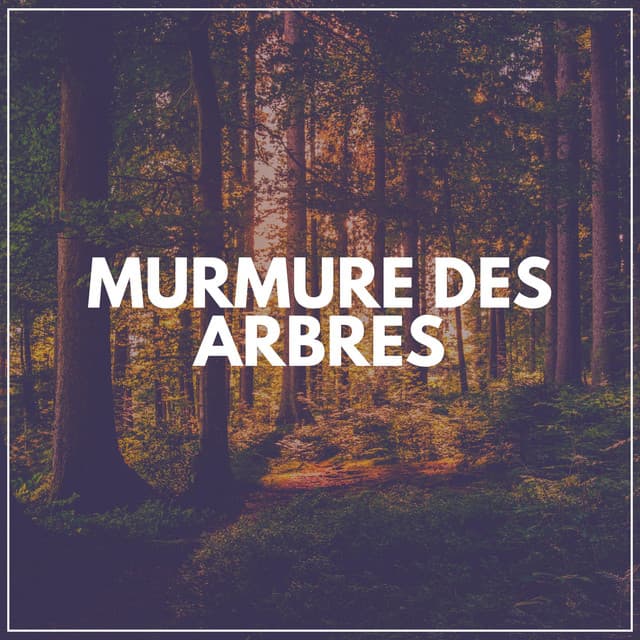 Murmure Des Arbres - Sommeil Profond de Détente