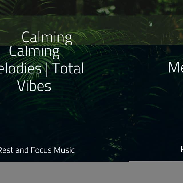 Calming Melodies | Total Vibes - Deep Focus