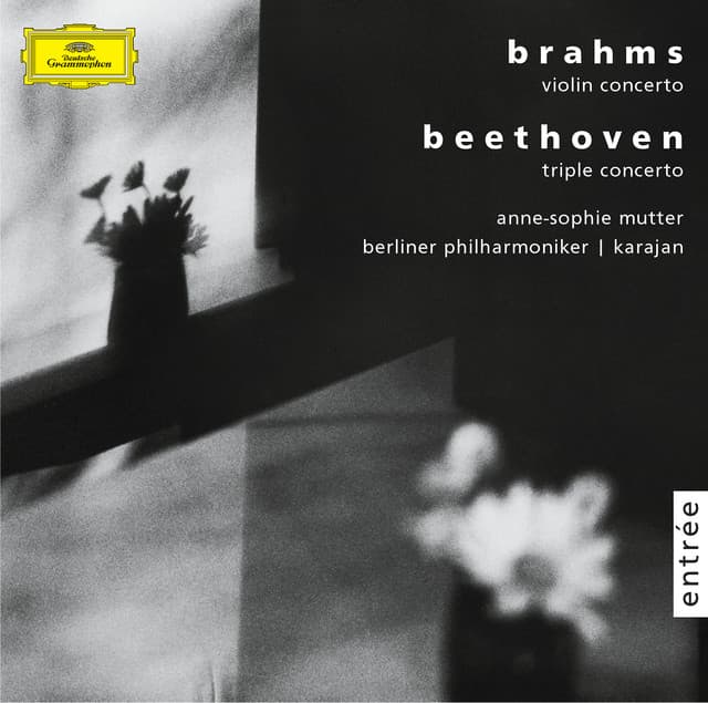 Brahms: Violin concerto, op. 77 / Beethoven: Triple concerto, op.56 - Anne-Sophie Mutter