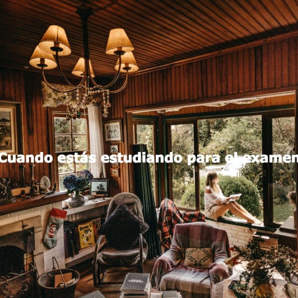 Cuando estás estudiando para el examen - Lounge Chillout