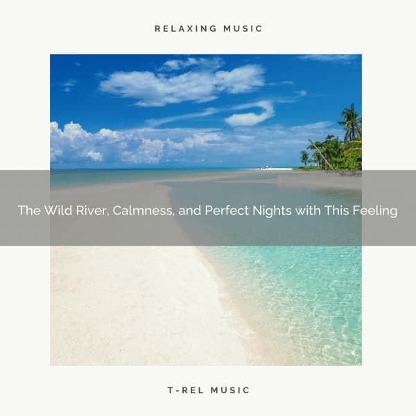 The Wild River, Calmness, and Perfect Nights with This Feeling - River Sound for Sleep