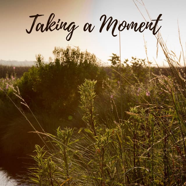 Taking a Moment - Koh Lantana