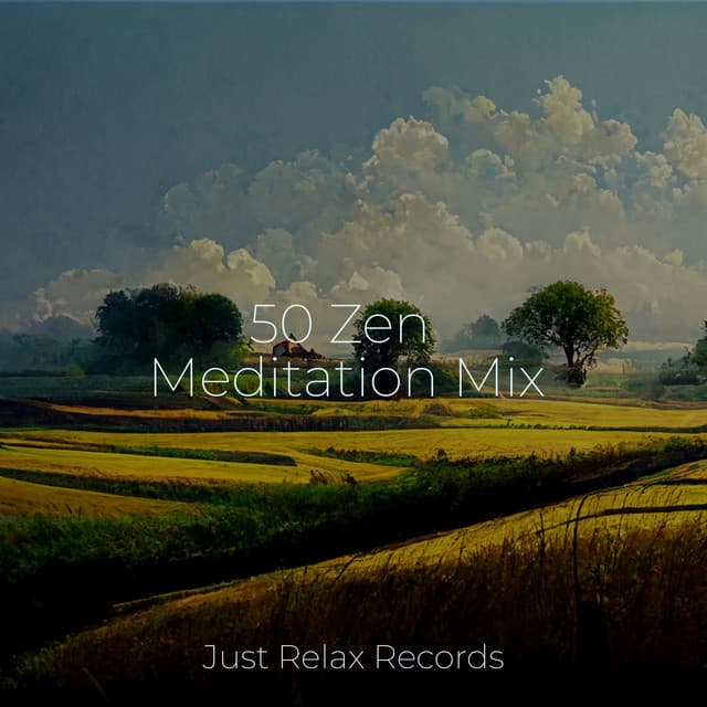 50 Zen Meditation Mix - Música a Relajarse