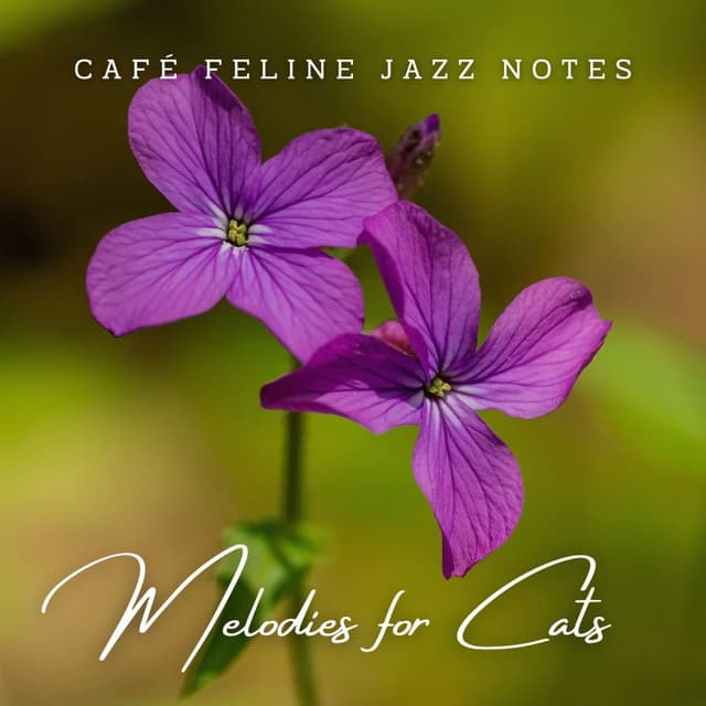 Jazz Whiskers & Lounge Purrs: Melodies for Cats - Chill Lounge Music