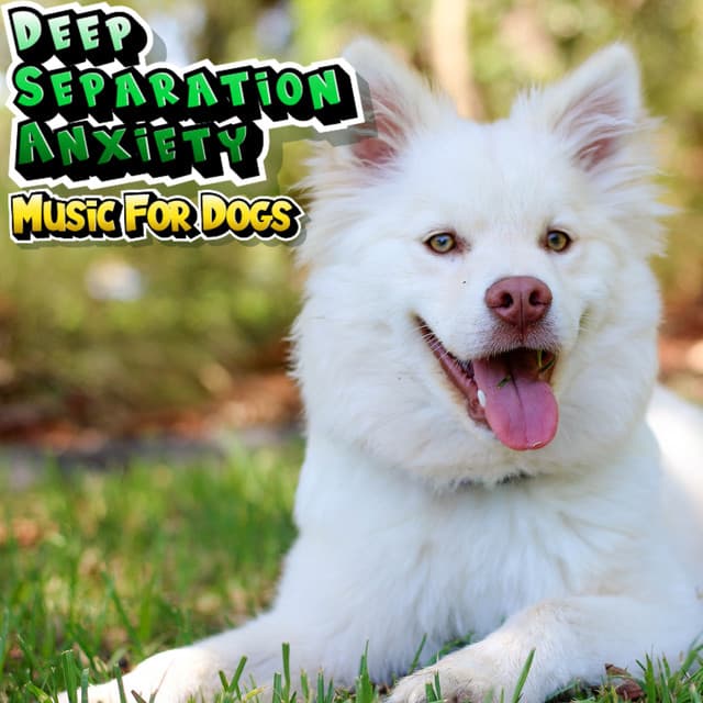 Deep Separation Anxiety Music For Dog Relaxation - Deep Separation Anxiety Music For Dogs