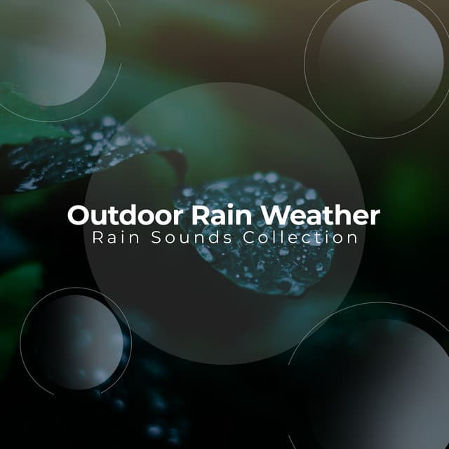 Outdoor Rain Weather - Rain Sounds Collection