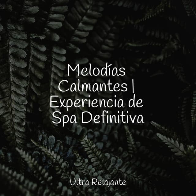 Relajarse