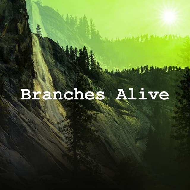 Branches Alive - Jungle Sounds
