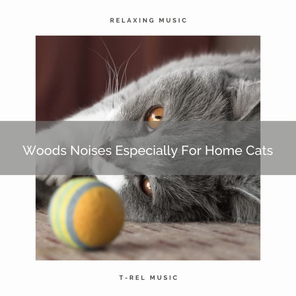 Woods Noises Especially For Home Cats - Pets Total Relax