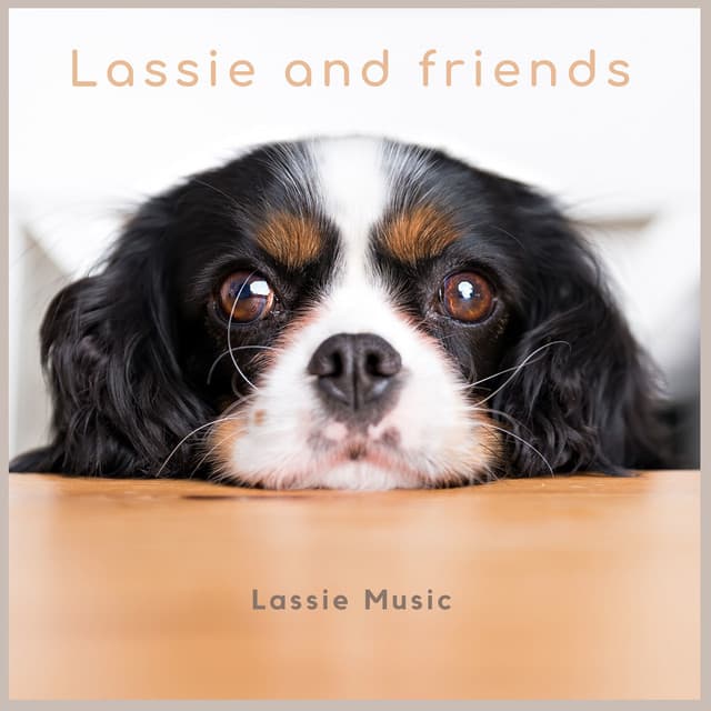 Lassie and friends