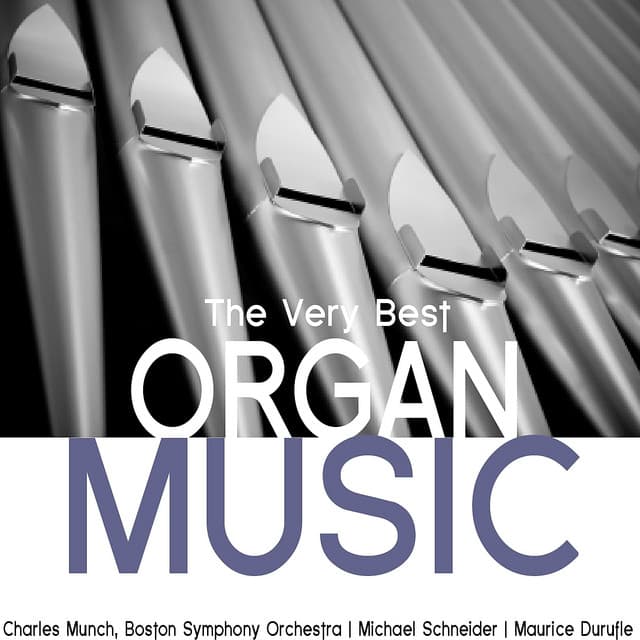 The Very Best Organ Music - Michael Schneider