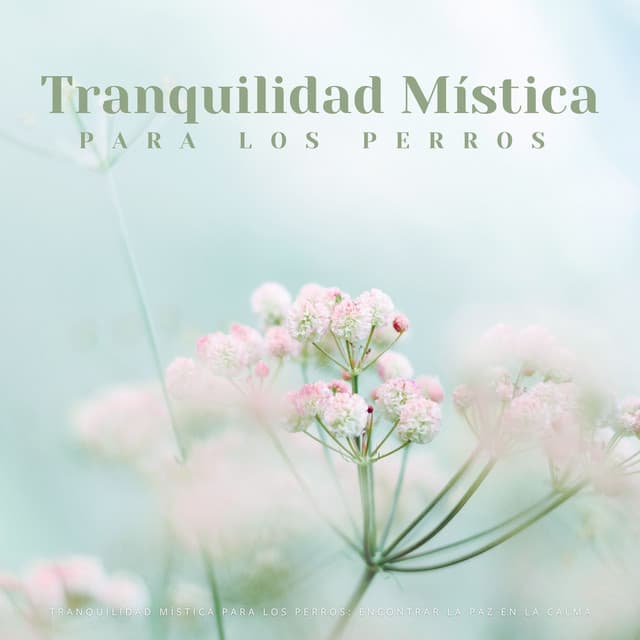 Lista de Reproducción para Relajar Perros