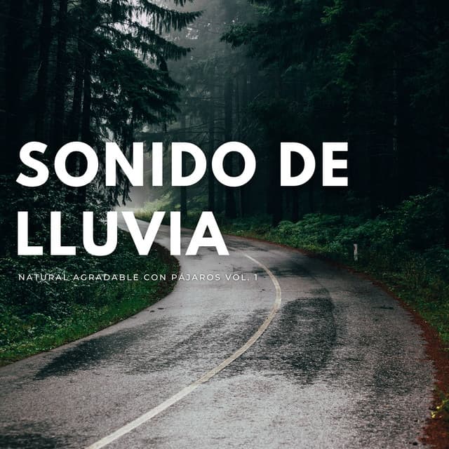 Sonido De Lluvia Natural Agradable Con Pájaros Vol. 1 - Don Lluvia