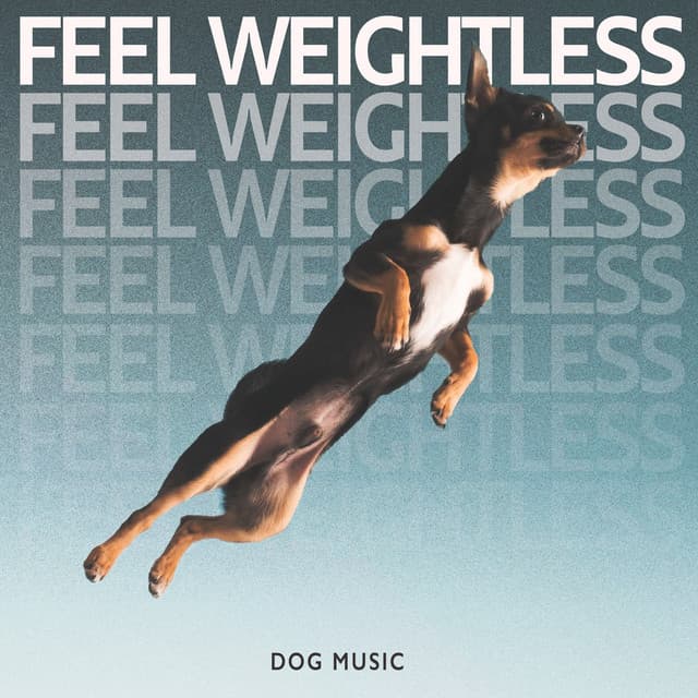 Feel Weightless - Dog Music