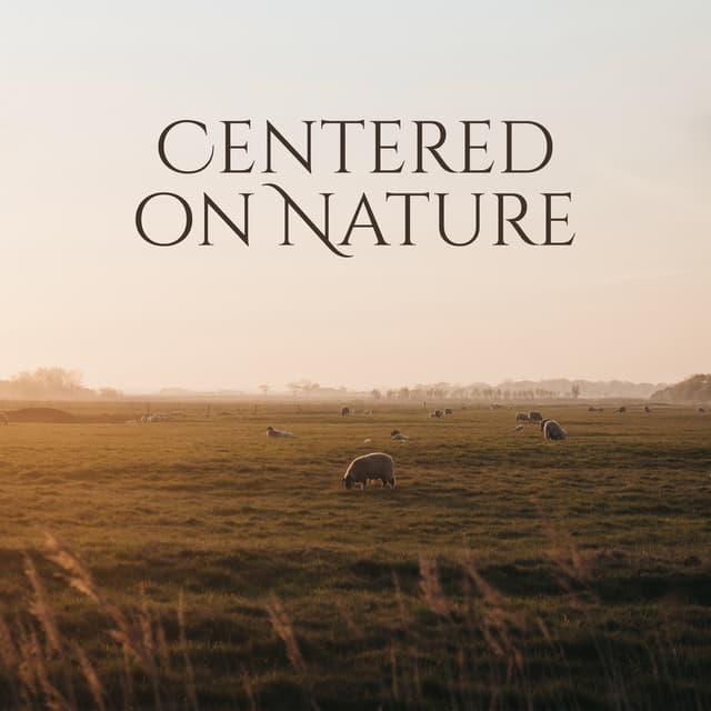 Centered on Nature - Calm Nature Oasis