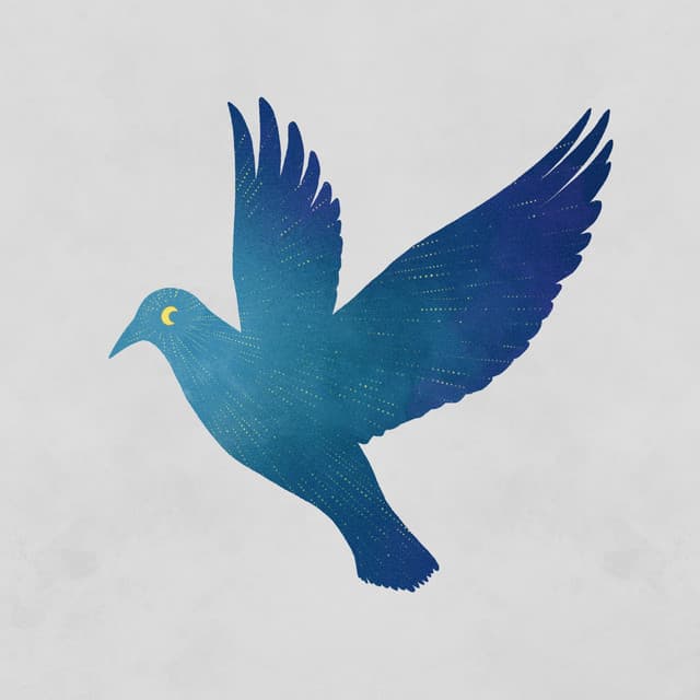 Lofi Birds - Lofi Bird