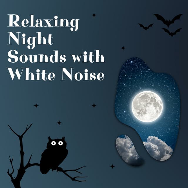 Relaxing Night Sounds with White Noise, Loopable - White Noise Therapy