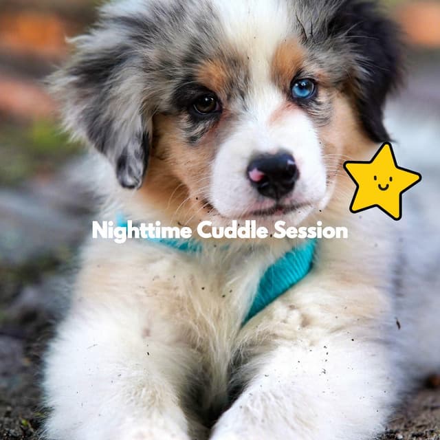 Nighttime Cuddle Session - Musica Relajante para Perros Momentos
