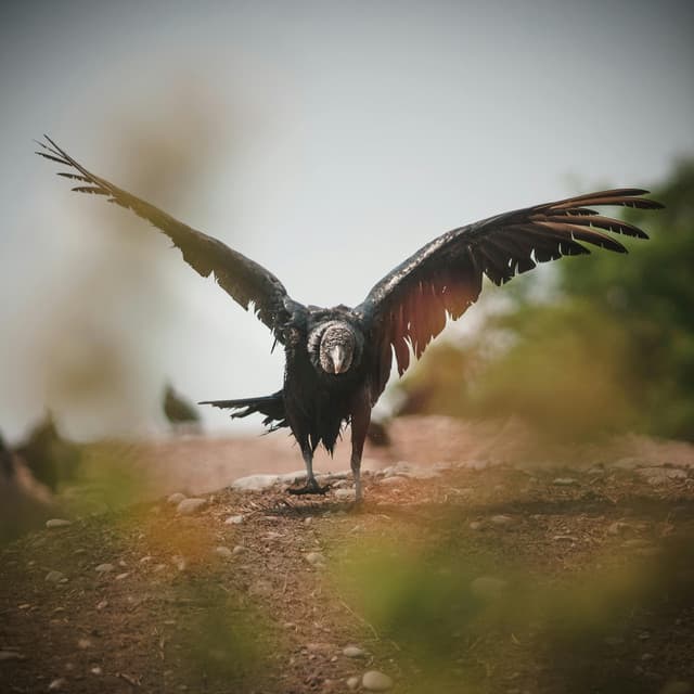 1 Ambient: Untouched Potential - 16 Bit Serenity