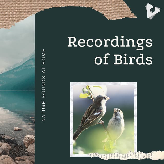 Bird and Nature Sounds