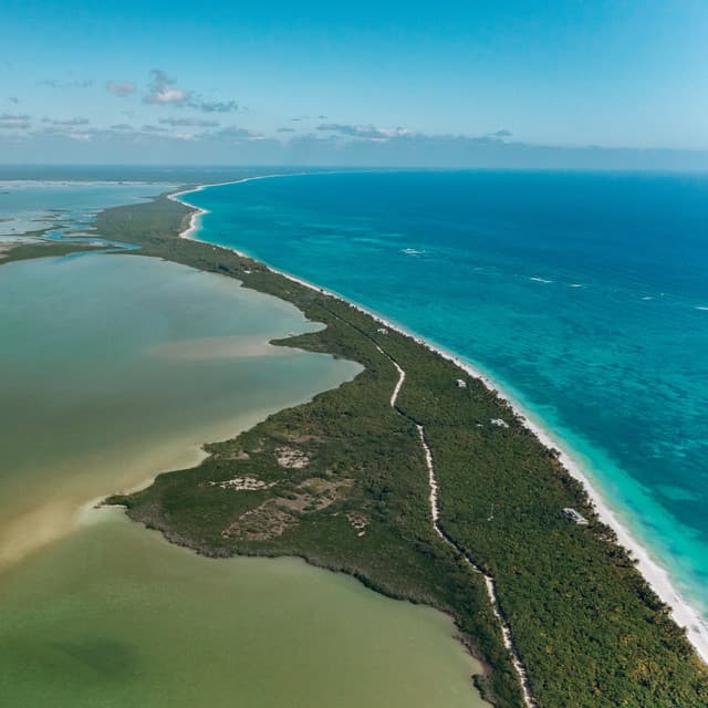 Fall Asleep Brown Cosy Noise - Black Noise Sleep