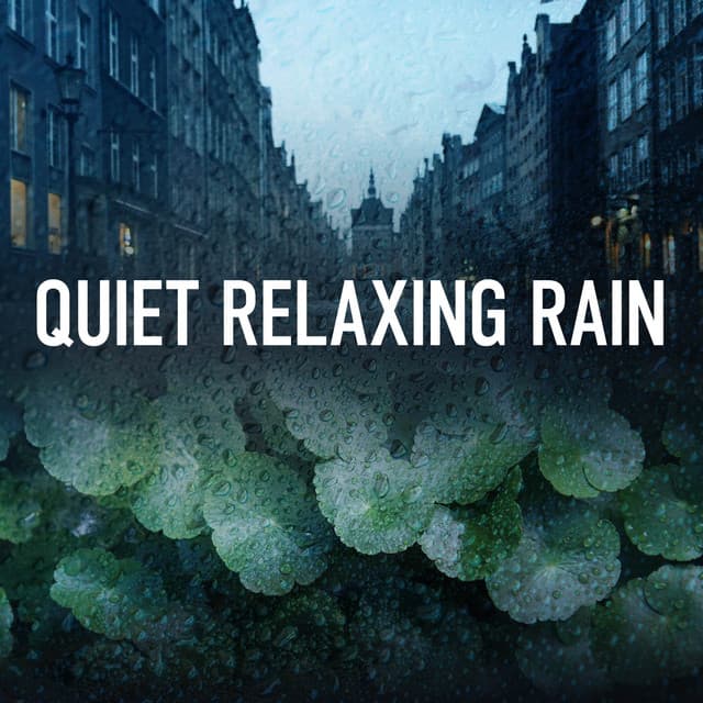 Quiet Relaxing Rain - The Sound Reserve