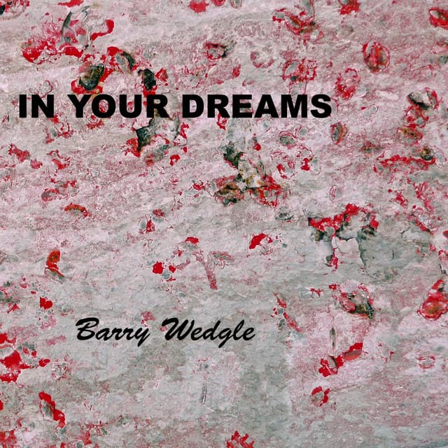 In Your Dreams - Barry Wedgle