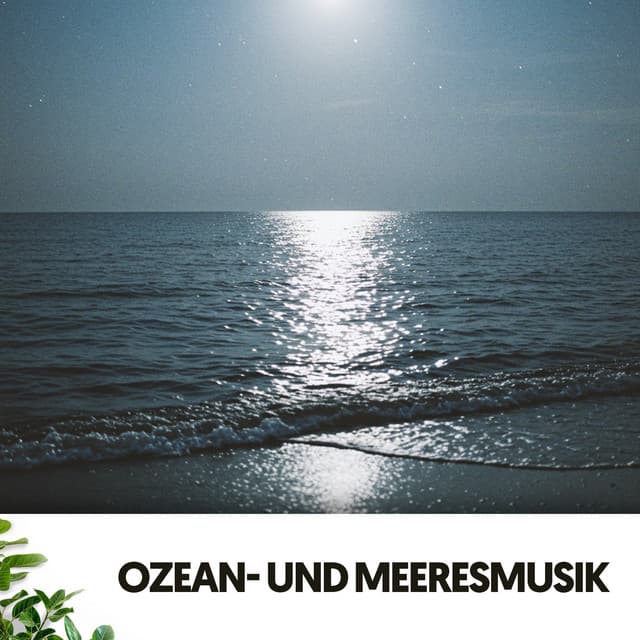 Ozean- und Meeresmusik: Nächtliche Serenade - Dog Relaxation