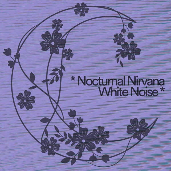 * Nocturnal Nirvana White Noise * - White Noise Radiance