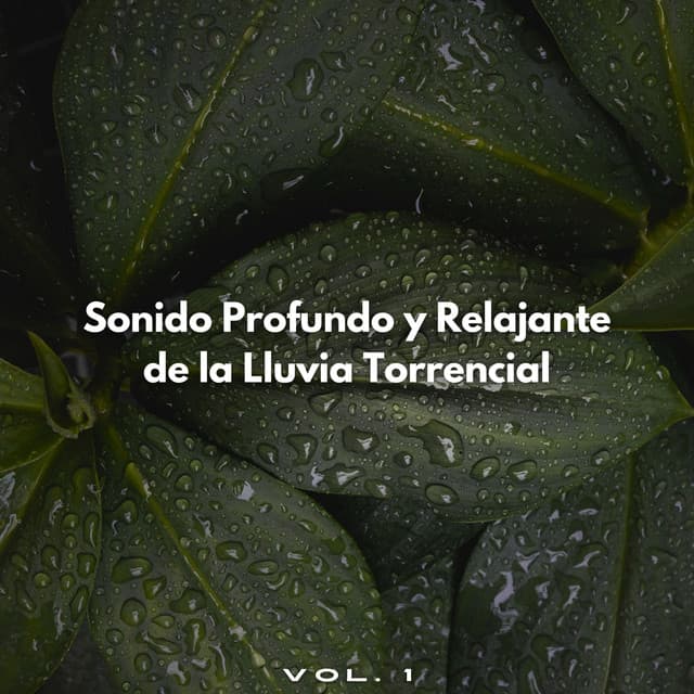 Sonido Profundo Y Relajante De La Lluvia Torrencial Vol. 1 - Sonidos de la naturaleza: tormenta