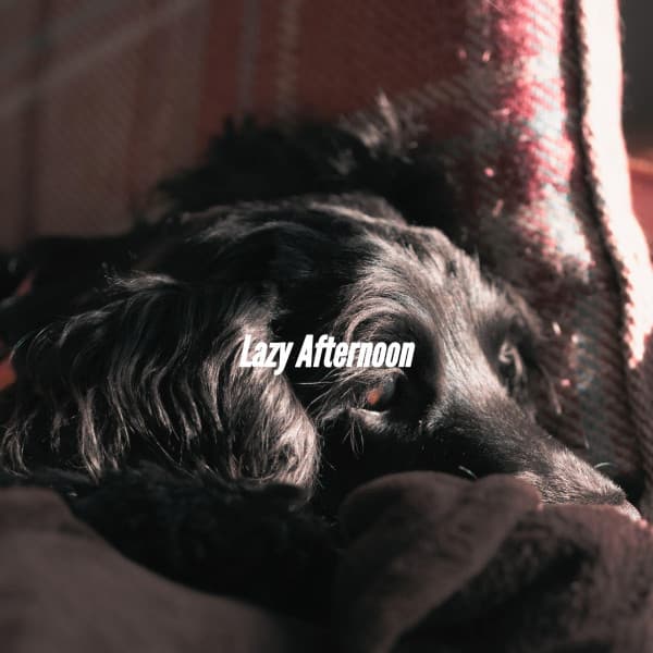 Lazy Afternoon - Cena Jazz