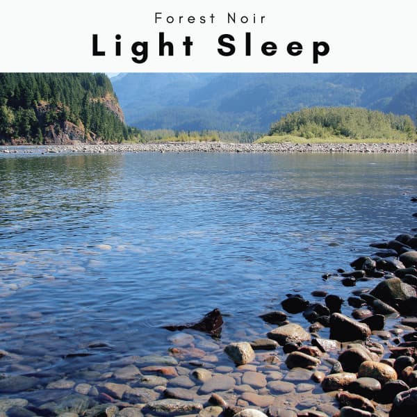 A Light Sleep - Forest Noir