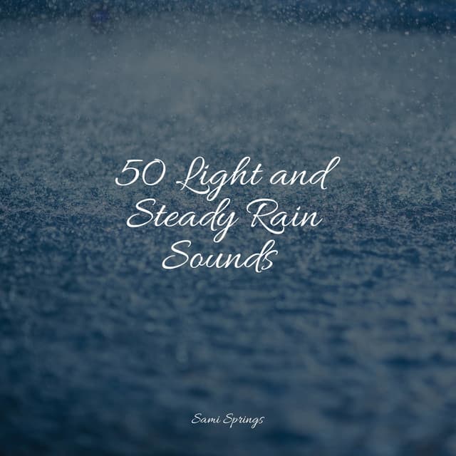 50 Light and Steady Rain Sounds - Meditação Maestro