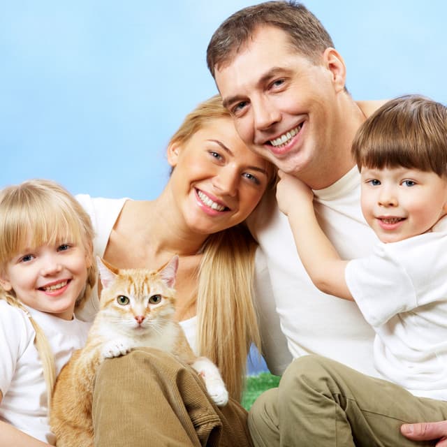 Melodic Bonding: Lofi Harmony for a Happy Pet - Lo-fi Hip Hop Beats