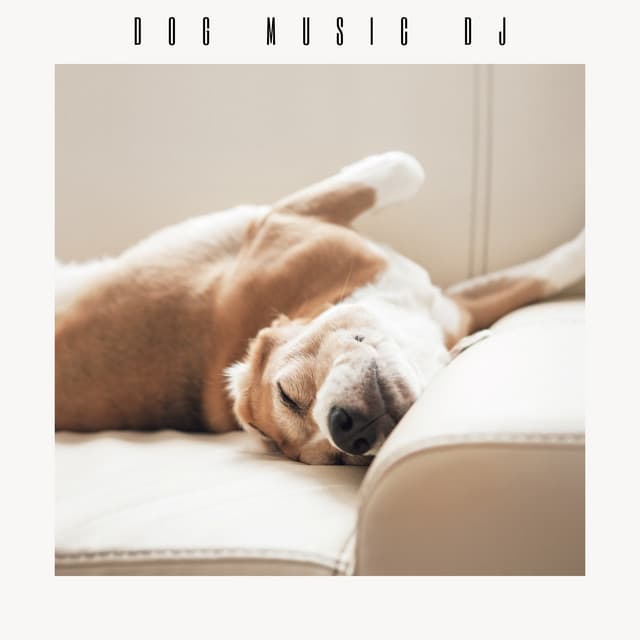Calming Music To Soothe Dogs - Dog Music DJ