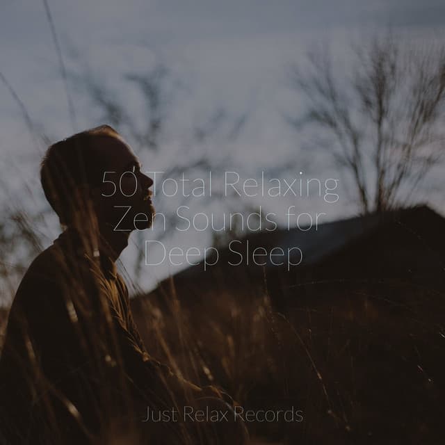 50 Total Relaxing Zen Sounds for Deep Sleep - Kinderliederbande