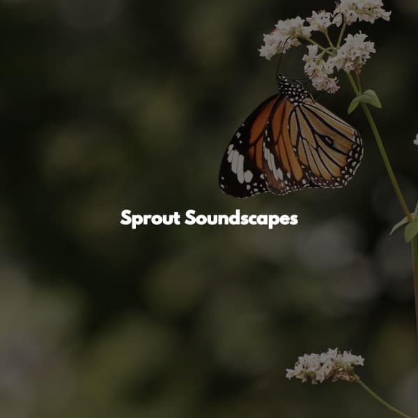Sprout Soundscapes - Chilled Easy Listening Jazz