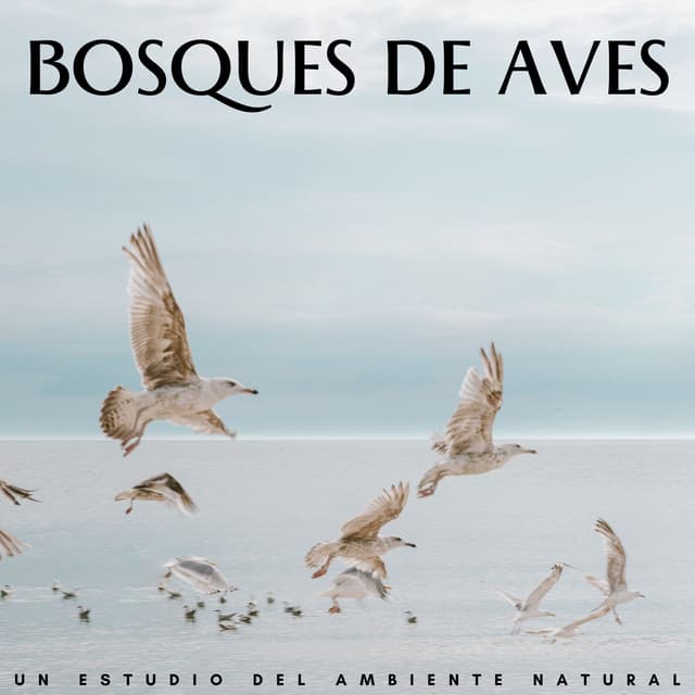 Bosques De Aves: Un Estudio Del Ambiente Natural - Estudio de sonidos de lluvia