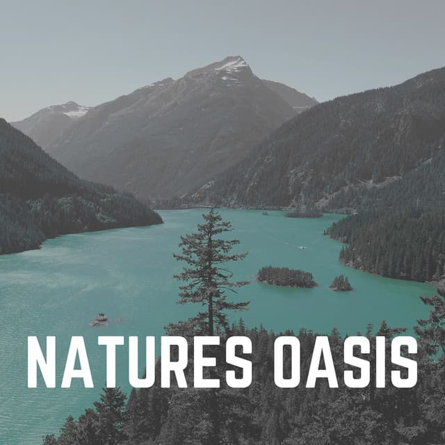 Natures Oasis - The Water Sleepers