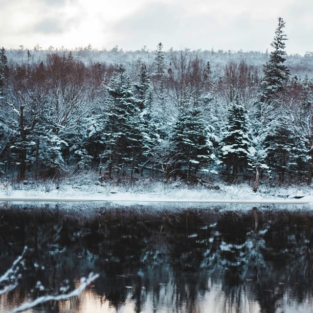 10 Waves: A Beautiful Wild - Spa Music Relaxation