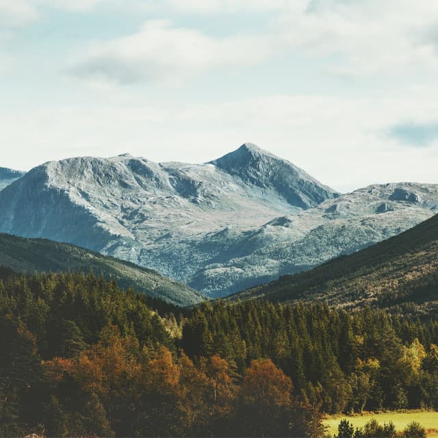 Music For Sleeping - Yoga Flow