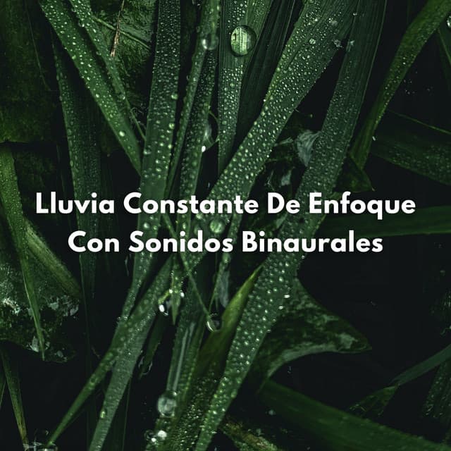 Lluvia Constante De Enfoque Con Sonidos Binaurales - La Mente Binaural