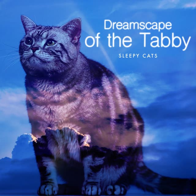 Dreamscape of the Tabby - Sleepy Cats
