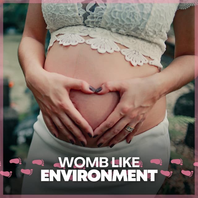 Womb Like Environment - Heartbeat Sound for Baby
