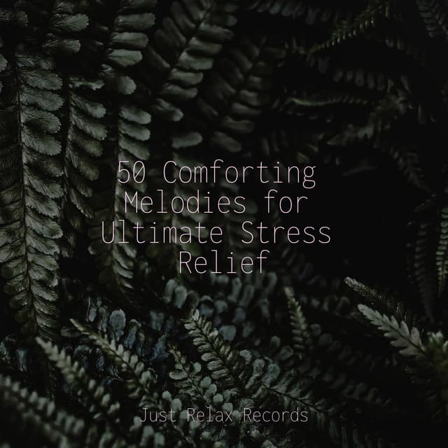 50 Comforting Melodies for Ultimate Stress Relief - Children's Music