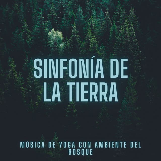Sinfonía de la Tierra: Música de Yoga con Ambiente del Bosque - Naturaleza y selección de la selva tropical colectiva