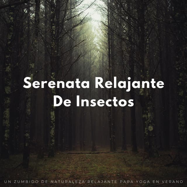 Serenata Relajante De Insectos: Un Zumbido De Naturaleza Relajante Para Yoga En Verano - Grillos Cantantes